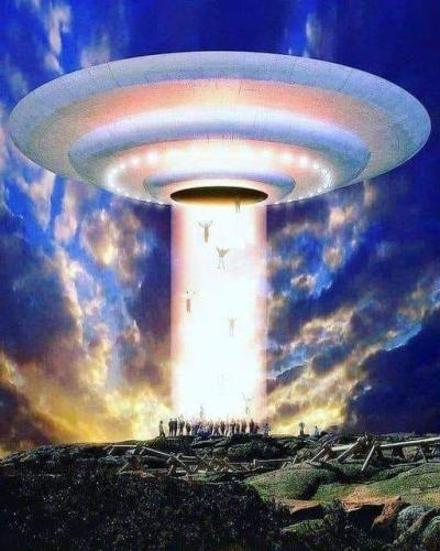 51cCp52jAWL._AC_AC_SR98,95_