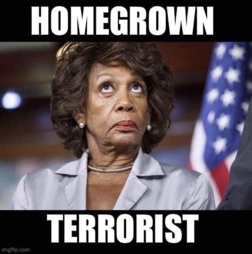 FB_IMG_1678824513824