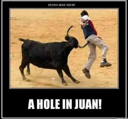 FB_IMG_1679341290444