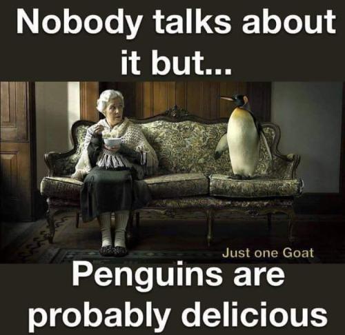 FB_IMG_1678568232171