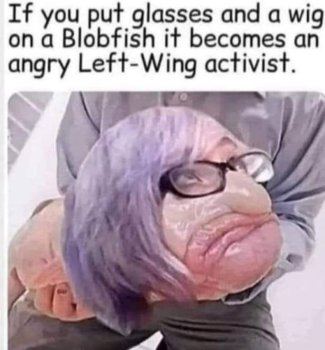 FB_IMG_1679680318675