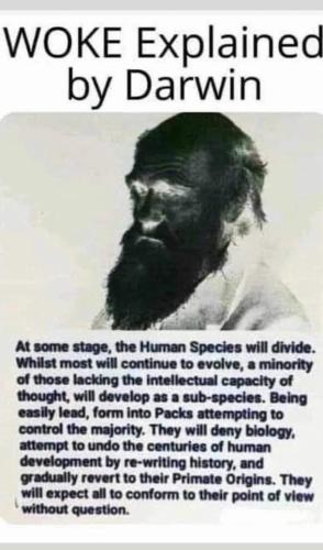 FB_IMG_1679938412504