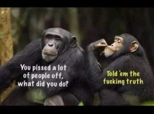 FB_IMG_1679683139670