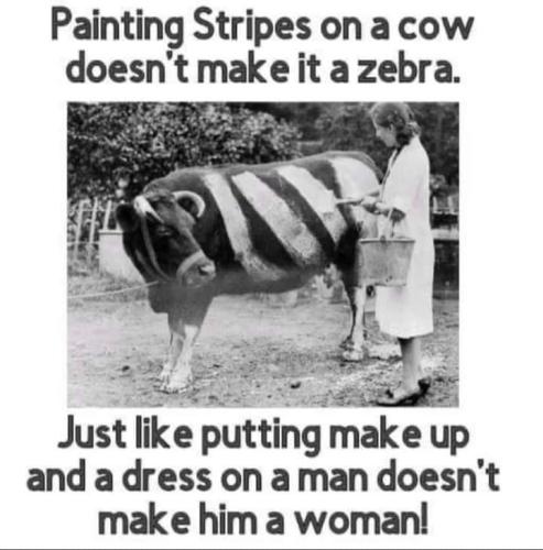 ec05ddaa-1e04-46e0-943b-6f00629e3935