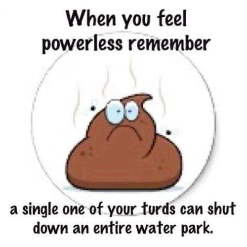 FB_IMG_1679589433056