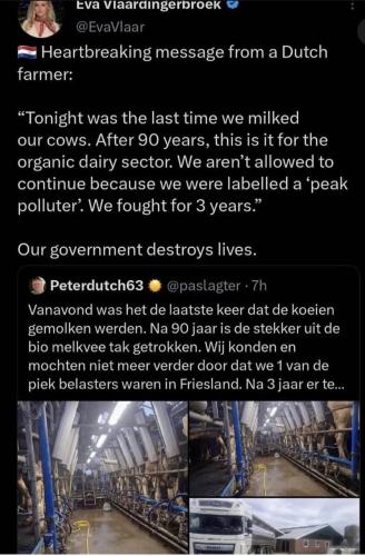 photo_2023-03-08_16-05-57