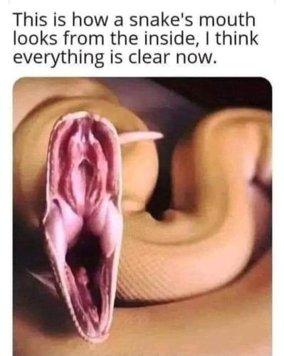 FB_IMG_1677863885658