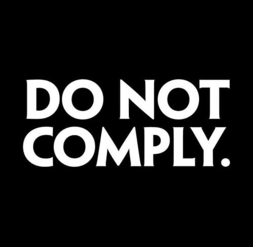 FB_IMG_1679777648256