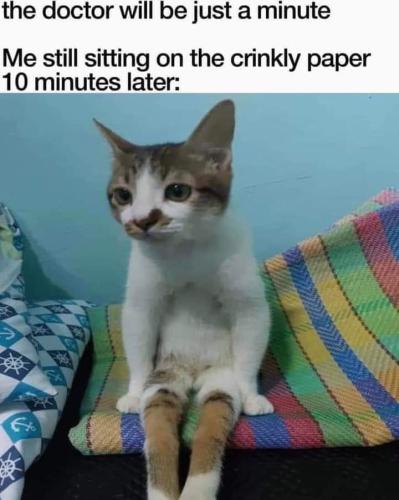 crinkly paper seat