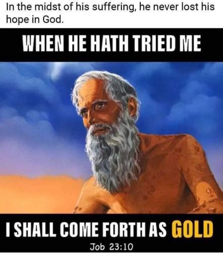 b2924bea-ec0f-4902-bbe3-8c9e2e47dd3f