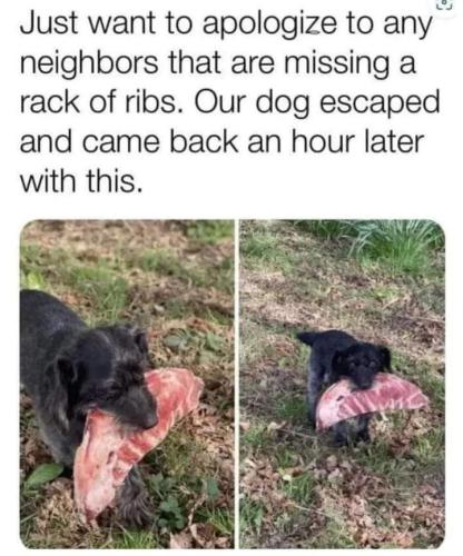missing a rack of ribs