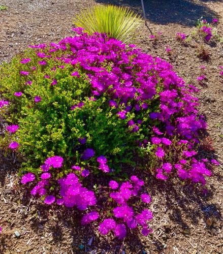 05770C37-871F-4801-A177-BF3920835A4F