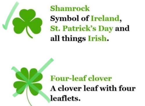 335903619_165872049597562_200933780310960822_n