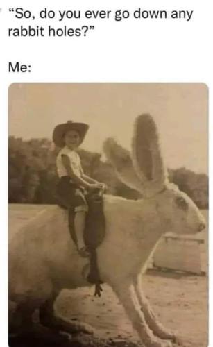 FB_IMG_1678889007405