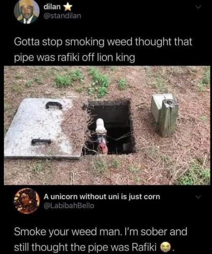 FB_IMG_1678383530325