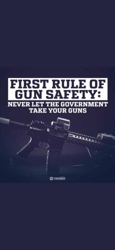 Gun Safety 1