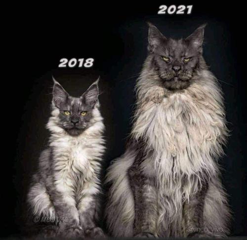 FB_IMG_1678850628213