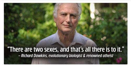 Screenshot_20230323_115850_Samsung Internet