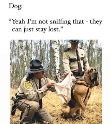 FB_IMG_1679765071551