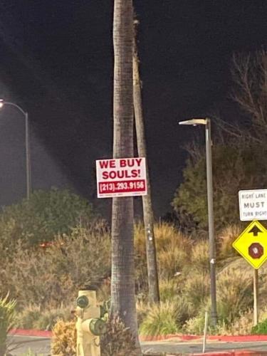 FB_IMG_1680102496682