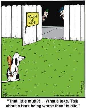 FB_IMG_1679854822407