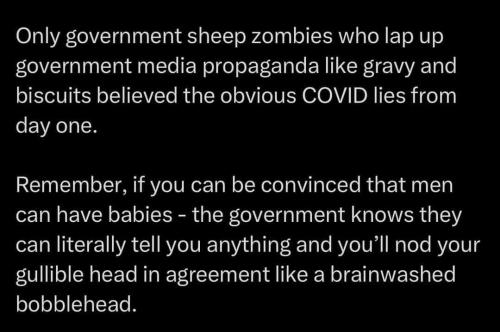 FB_IMG_1677694025632