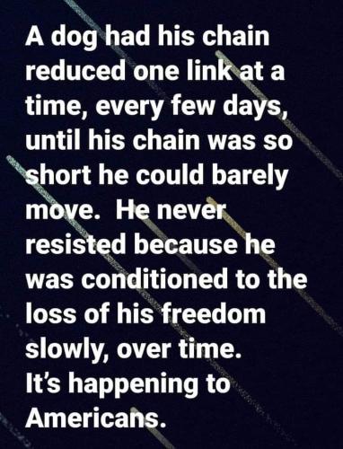 337132422_915230903134643_8828068545777056509_n