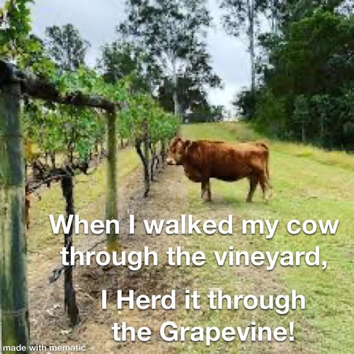 I herd it
