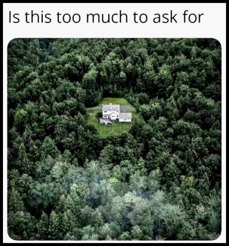 tumblr_d0ce10189eaa24c2e355dcb63896b180_2d0770da_540