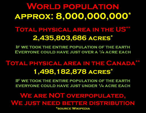 world population