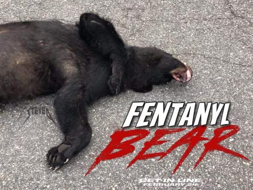 FB_IMG_1679941818710