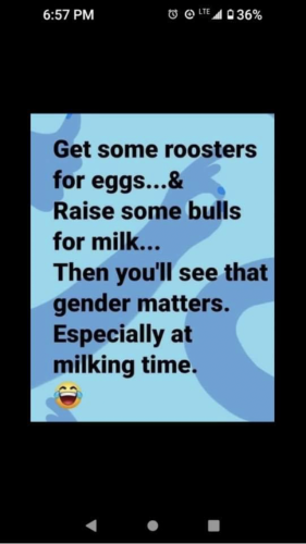 13:06:05 GMT-0400 (EDT).image