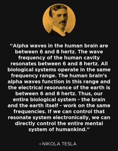 FB_IMG_1677899960590