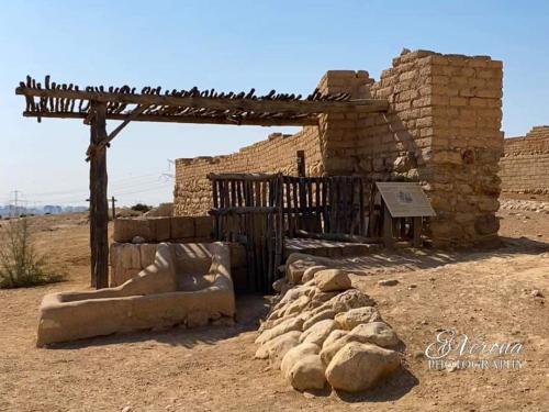 FB_IMG_1679734137681