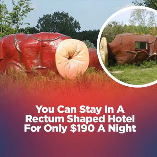 FB_IMG_1678898296928