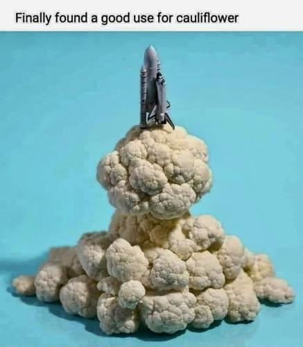 A7148D0B-0893-4693-A7D4-8AEF3C6E043D