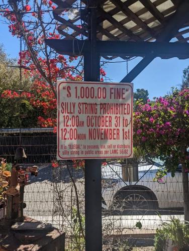 FB_IMG_1679496684313