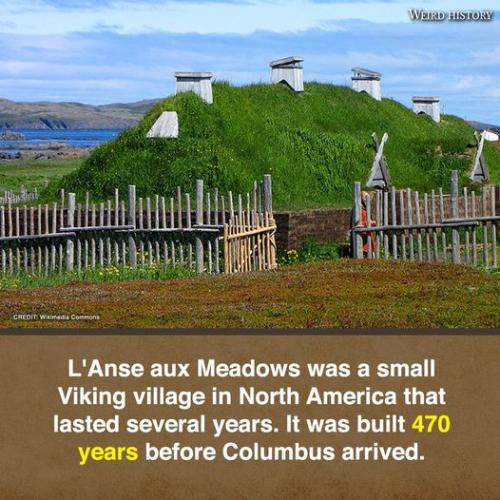 334967617_735133437989205_869512454922119543_n