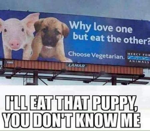 FB_IMG_1679673360085