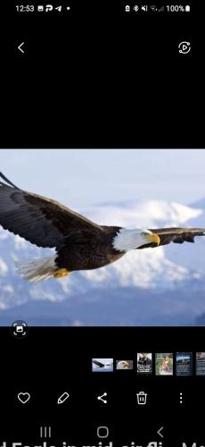 Screenshot_20230325-125348_Gallery