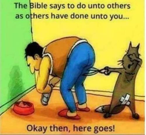 FB_IMG_1677696749789