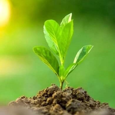 zinhlenoncedo-20230308-0003