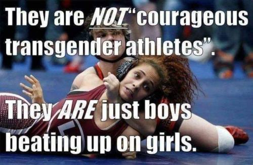 FB_IMG_1679732456903