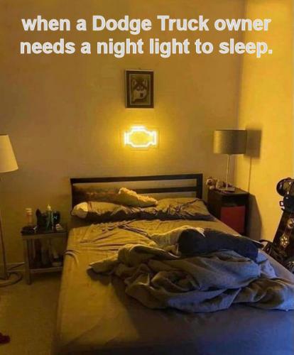 when a Dodge owner needs a night light to sleep