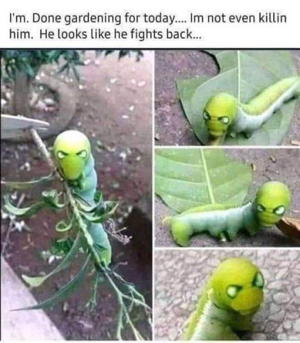 FB_IMG_1677772771881