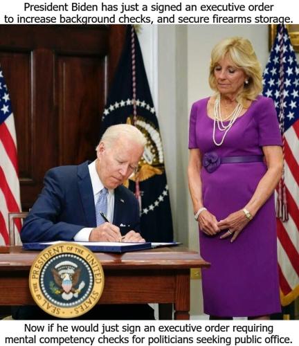 Biden background checks