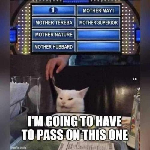 FB_IMG_1678216227031