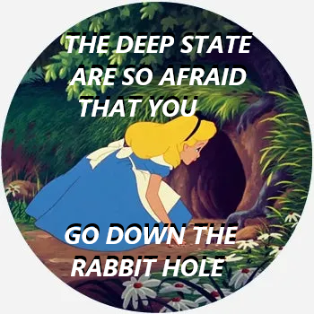 DOWN THE RABIT HOLE