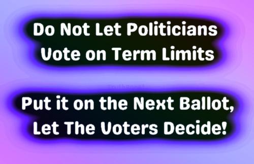 Term Limits 1
