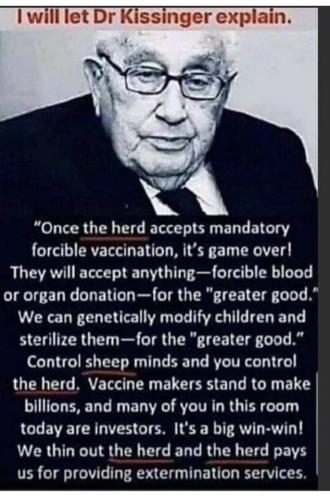 FB_IMG_1680291592076